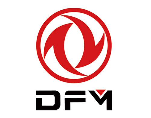 DFM